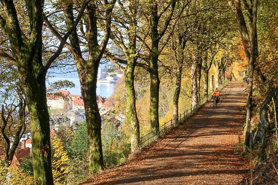 Dinbnb Apartments I On Top Of The City I 400M To Bryggen And Floibanen Bergen Norwegen